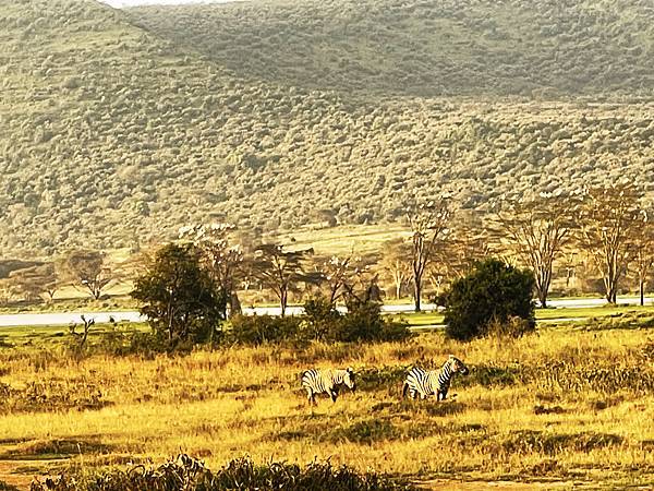 [東非獵遊 VS 維多利亞瀑布] 非洲首站~肯亞 ...納庫
