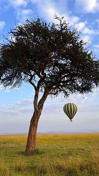 [東非獵遊 VS 維多利亞瀑布] 肯亞~ 熱氣球~ 馬賽馬拉