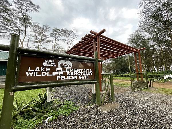 [東非獵遊 VS 維多利亞瀑布] 肯亞~ 埃爾門泰塔湖 &奈