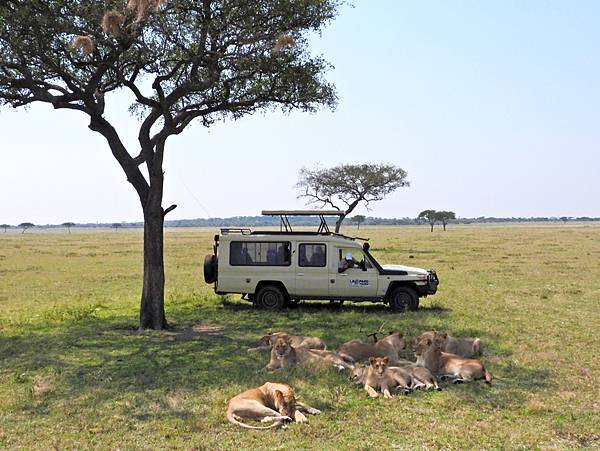 [東非獵遊 VS 維多利亞瀑布] 坦尚尼亞~ Aryer在