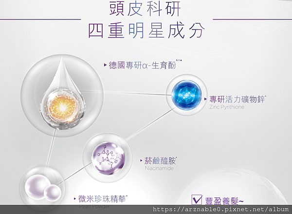 snap047.png snap047.png