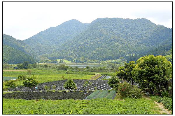 宜蘭員山~野夫炊煙//山野合菜料理//自然美景 宜蘭員山~野夫炊煙//山野合菜料理//自然美景