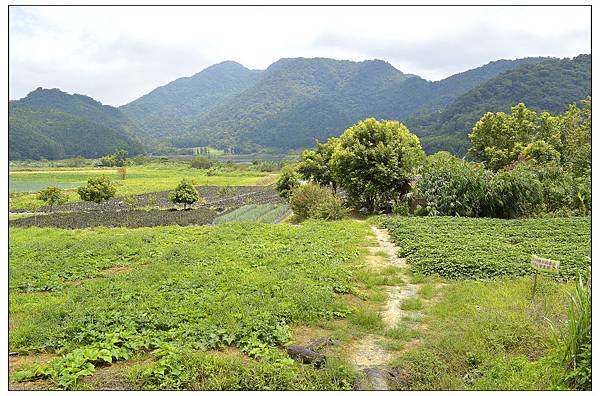 宜蘭員山~野夫炊煙//山野合菜料理//自然美景 宜蘭員山~野夫炊煙//山野合菜料理//自然美景
