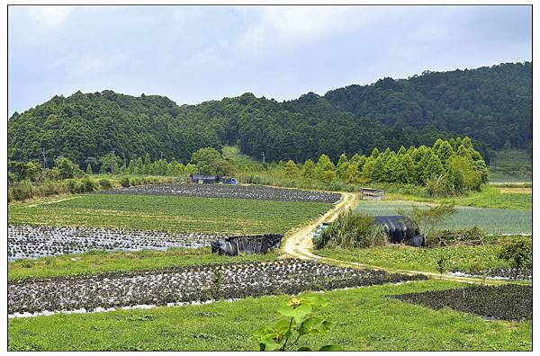 宜蘭員山~野夫炊煙//山野合菜料理//自然美景 宜蘭員山~野夫炊煙//山野合菜料理//自然美景