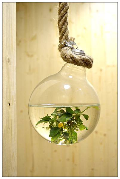 台中西區~KATZ卡司複合式餐廳//美韓創意料理 台中西區~KATZ卡司複合式餐廳//美韓創意料理