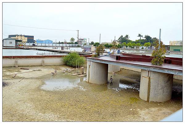 彰化鹿港~Pause Bonheur甜點實驗室//法式甜點//咖啡//輕食 彰化鹿港~Pause Bonheur甜點實驗室//法式甜點//咖啡//輕食