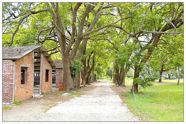彰化~顏氏牧場II//咖啡//輕食//甜點/ 彰化~顏氏牧場II//咖啡//輕食//甜點/