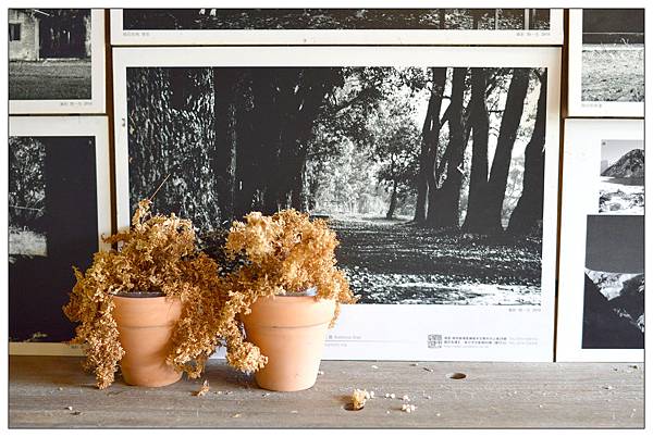 彰化~顏氏牧場II//咖啡//輕食//甜點/ 彰化~顏氏牧場II//咖啡//輕食//甜點/