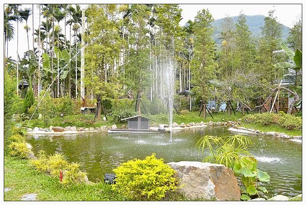 南投魚池~LOOK 路殼//民宿//下午茶 南投魚池~LOOK 路殼//民宿//下午茶