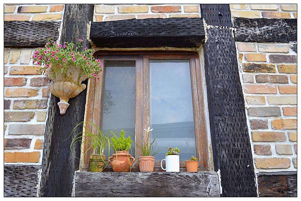 南投市~文心園・花園咖啡 南投市~文心園・花園咖啡