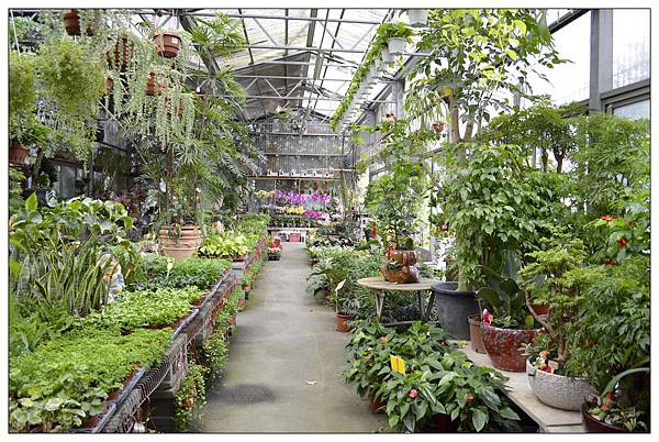 南投市~文心園・花園咖啡 南投市~文心園・花園咖啡