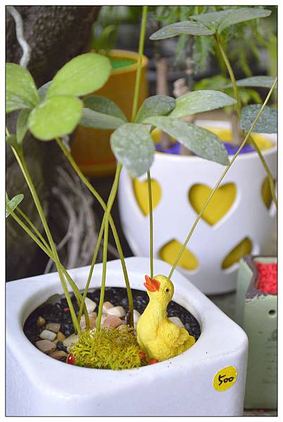 南投市~文心園・花園咖啡 南投市~文心園・花園咖啡