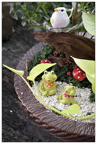 南投市~文心園・花園咖啡 南投市~文心園・花園咖啡