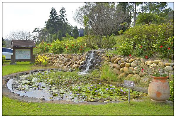 苗栗西湖~秘密花園 苗栗西湖~秘密花園