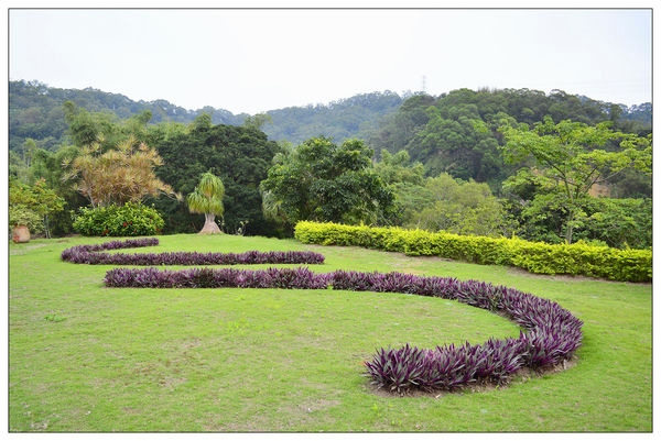 苗栗西湖~秘密花園 苗栗西湖~秘密花園