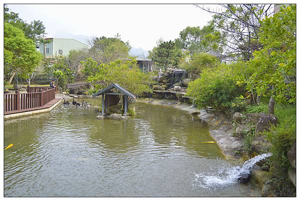 苗栗大湖~巧克力雲莊