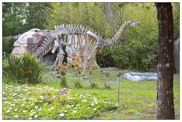 苗栗大湖~巧克力雲莊 苗栗大湖~巧克力雲莊