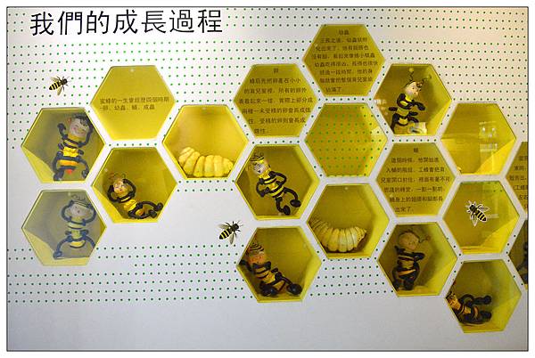 宜蘭員山景點‧餐廳))養蜂人家‧蜂采館_蜜香烤蛋糕_蜂巢鮮奶霜淇淋 宜蘭員山景點‧餐廳))養蜂人家‧蜂采館_蜜香烤蛋糕_蜂巢鮮奶霜淇淋
