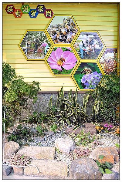 宜蘭員山景點‧餐廳))養蜂人家‧蜂采館_蜜香烤蛋糕_蜂巢鮮奶霜淇淋 宜蘭員山景點‧餐廳))養蜂人家‧蜂采館_蜜香烤蛋糕_蜂巢鮮奶霜淇淋