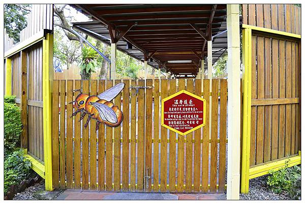 宜蘭員山景點‧餐廳))養蜂人家‧蜂采館_蜜香烤蛋糕_蜂巢鮮奶霜淇淋 宜蘭員山景點‧餐廳))養蜂人家‧蜂采館_蜜香烤蛋糕_蜂巢鮮奶霜淇淋