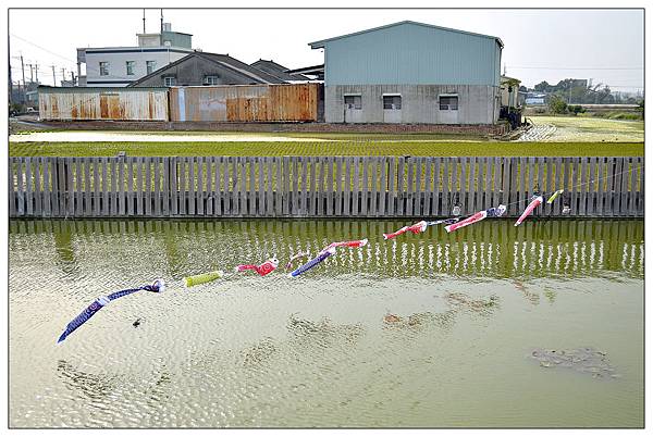嘉義民雄鄉咖啡店))魚罐頭咖啡館_甜點、咖啡、古早味肉粽