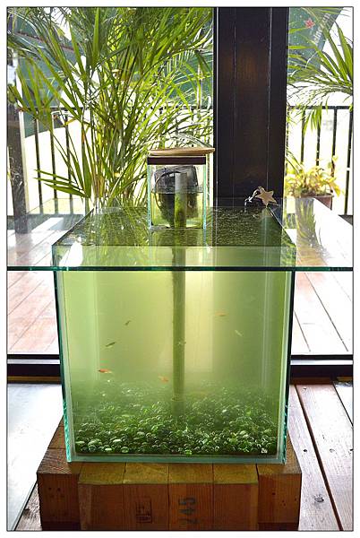 嘉義民雄鄉咖啡店))魚罐頭咖啡館_甜點、咖啡、古早味肉粽