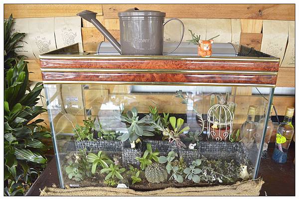 嘉義民雄鄉咖啡店))魚罐頭咖啡館_甜點、咖啡、古早味肉粽