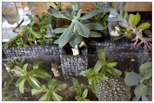 嘉義民雄鄉咖啡店))魚罐頭咖啡館_甜點、咖啡、古早味肉粽