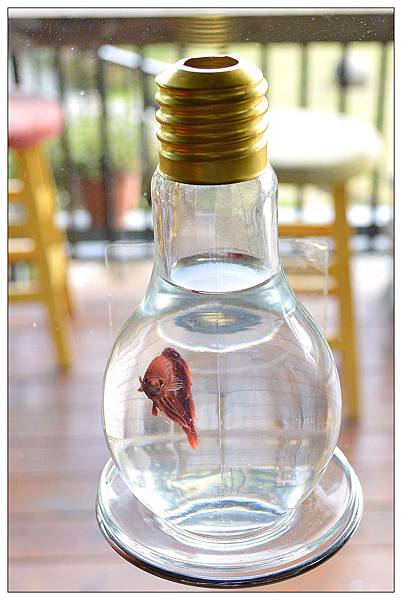 嘉義民雄鄉咖啡店))魚罐頭咖啡館_甜點、咖啡、古早味肉粽