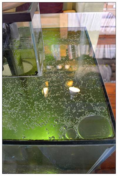 嘉義民雄鄉咖啡店))魚罐頭咖啡館_甜點、咖啡、古早味肉粽