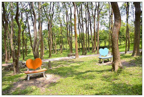 苗栗通霄景觀餐廳))上田咖啡休閒莊園。二訪。桐花開 苗栗通霄景觀餐廳))上田咖啡休閒莊園。二訪。桐花開