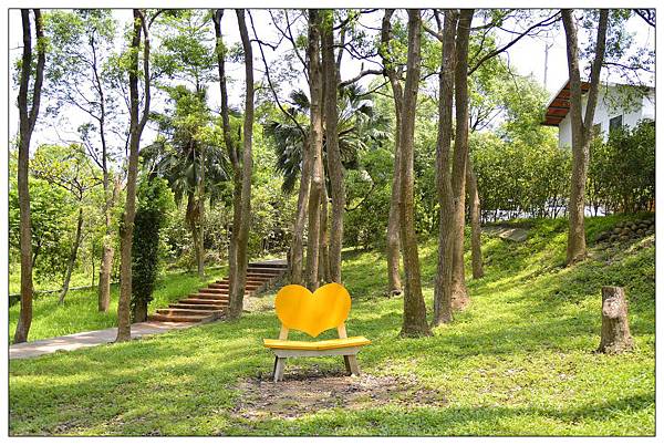 苗栗通霄景觀餐廳))上田咖啡休閒莊園。二訪。桐花開 苗栗通霄景觀餐廳))上田咖啡休閒莊園。二訪。桐花開