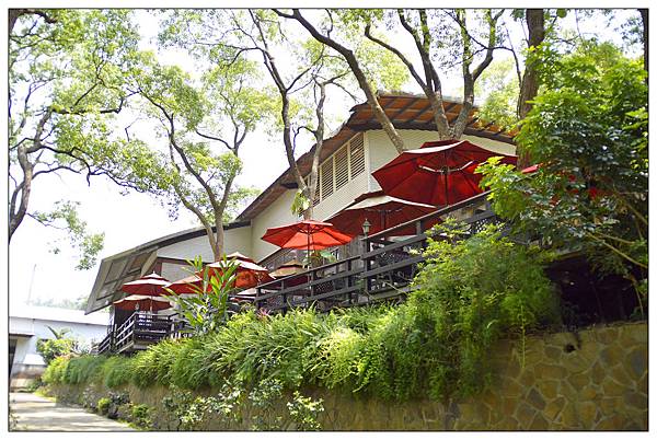 苗栗通霄景觀餐廳))上田咖啡休閒莊園。二訪。桐花開 苗栗通霄景觀餐廳))上田咖啡休閒莊園。二訪。桐花開