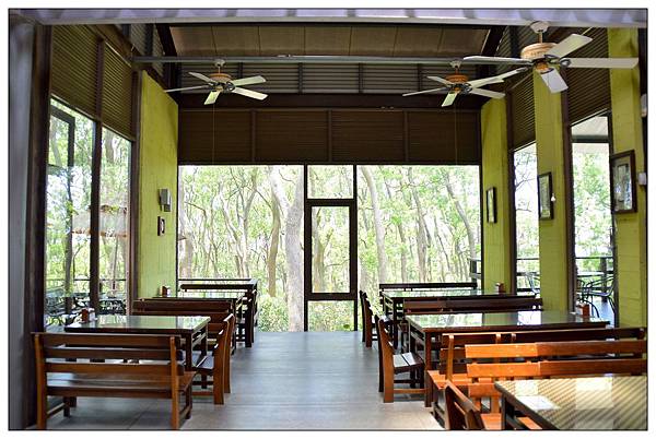 苗栗通霄景觀餐廳))上田咖啡休閒莊園。二訪。桐花開 苗栗通霄景觀餐廳))上田咖啡休閒莊園。二訪。桐花開