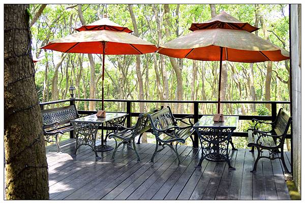 苗栗通霄景觀餐廳))上田咖啡休閒莊園。二訪。桐花開 苗栗通霄景觀餐廳))上田咖啡休閒莊園。二訪。桐花開