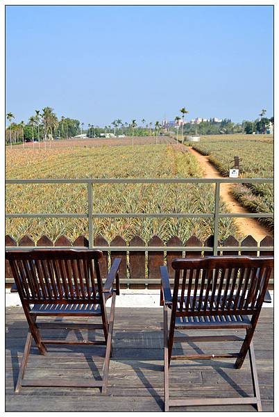 台中西屯區伴手禮))旺萊山-台中逢甲店◎除了土鳳梨酥還有多樣鳳梨周邊商品 台中西屯區伴手禮))旺萊山-台中逢甲店◎除了土鳳梨酥還有多樣鳳梨周邊商品