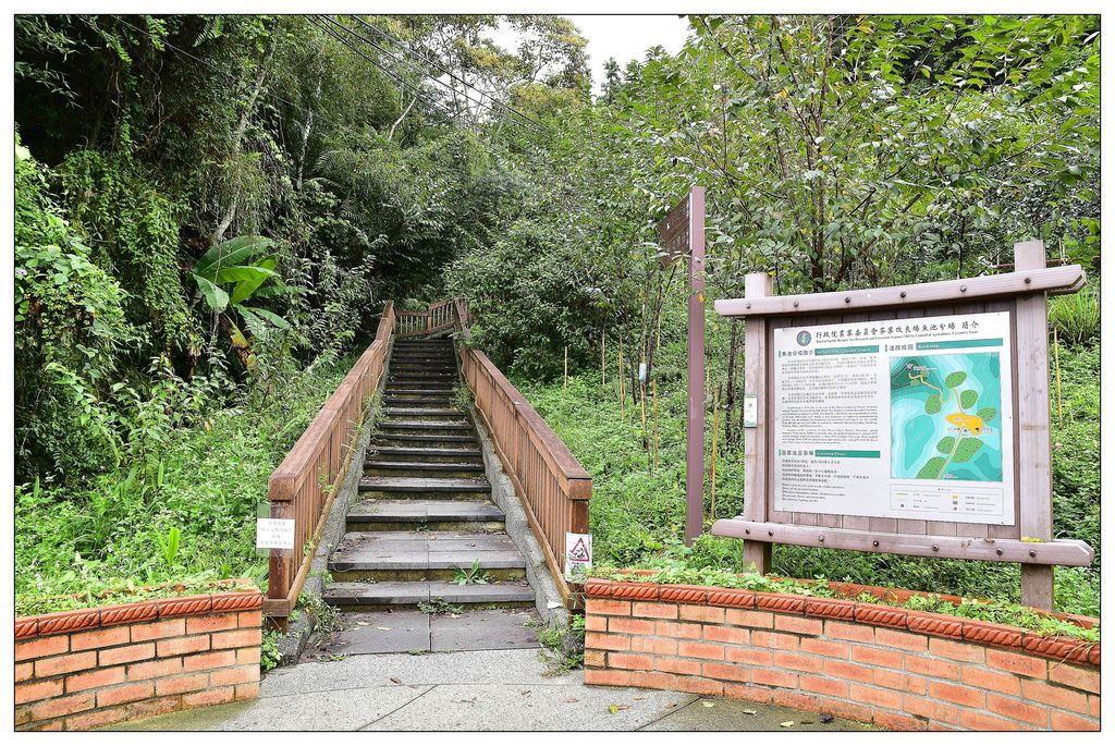 猫囒山步道 南投日月潭景點 茶改場舊宿舍 新井耕吉郎紀念碑 茶葉改良場 中央氣象局日月潭氣象站 日月潭登山步道 貓囒山步道