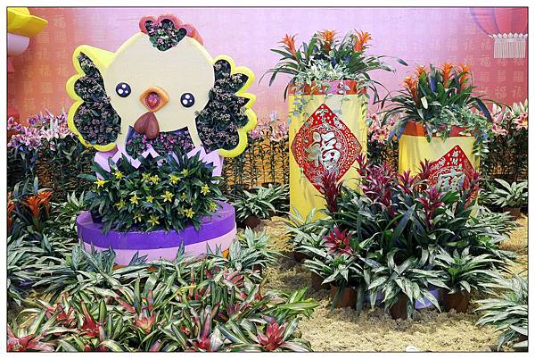 彰化溪洲公園 17花在彰化 雞祥富貴17來 小玉兒 趴趴走 痞客邦 彰化溪洲公園 17花在彰化 雞祥富貴17來 小玉兒 趴趴走 痞客邦