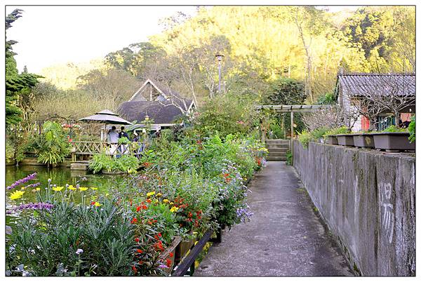 苗栗南庄鄉景觀餐廳))山芙蓉咖啡