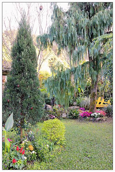 苗栗南庄鄉景觀餐廳))山芙蓉咖啡