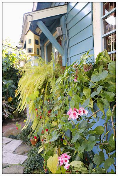 苗栗南庄鄉景觀餐廳))山芙蓉咖啡 苗栗南庄鄉景觀餐廳))山芙蓉咖啡