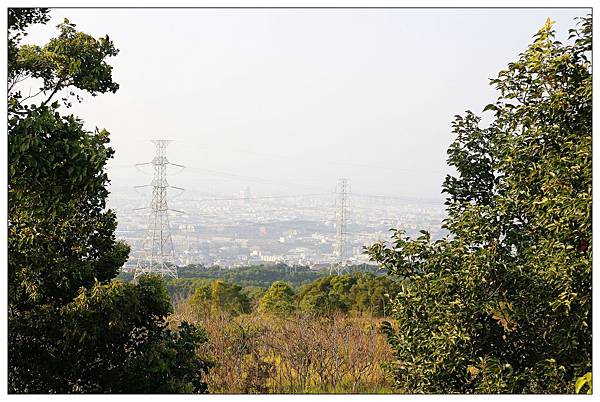 [台中龍井區景觀餐廳] 綠朵休閒農場