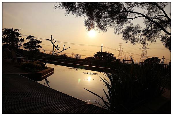 [台中龍井區景觀餐廳] 綠朵休閒農場