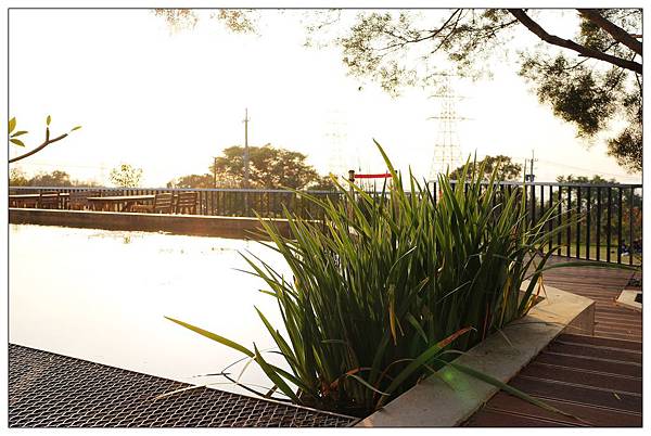 [台中龍井區景觀餐廳] 綠朵休閒農場