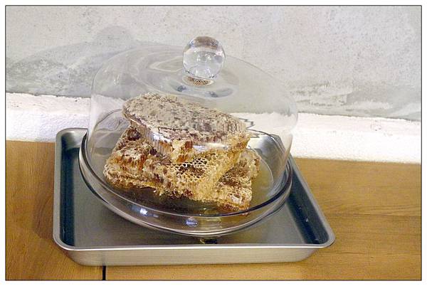 彰化鹿港甜點、霜淇淋專賣店))食驗所 Kenny Lab #就算天氣冷吱吱也要來一支