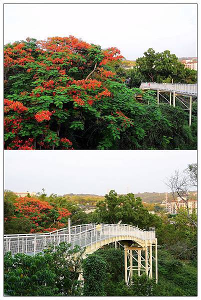 彰化伴手禮))彰化卦山燒 #彰化老店 #彰化名產 彰化伴手禮))彰化卦山燒 #彰化老店 #彰化名產