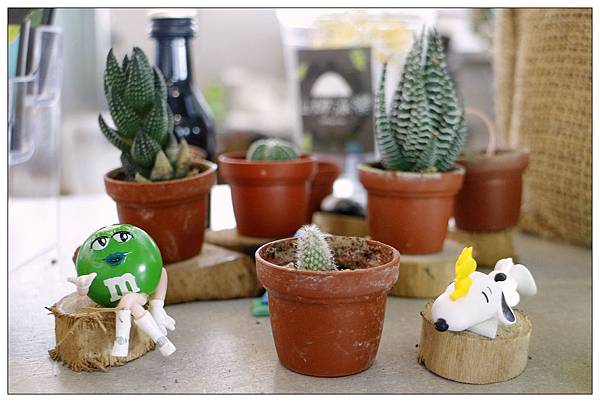 台中北屯區餐廳))山姆派樂SAMpartner |大坑區園藝餐廳 台中北屯區餐廳))山姆派樂SAMpartner |大坑區園藝餐廳