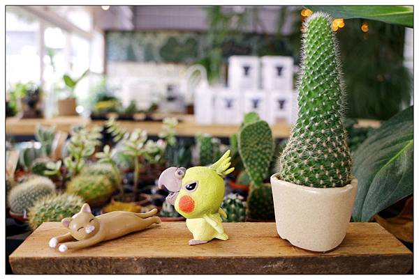 台中北屯區餐廳))山姆派樂SAMpartner |大坑區園藝餐廳 台中北屯區餐廳))山姆派樂SAMpartner |大坑區園藝餐廳