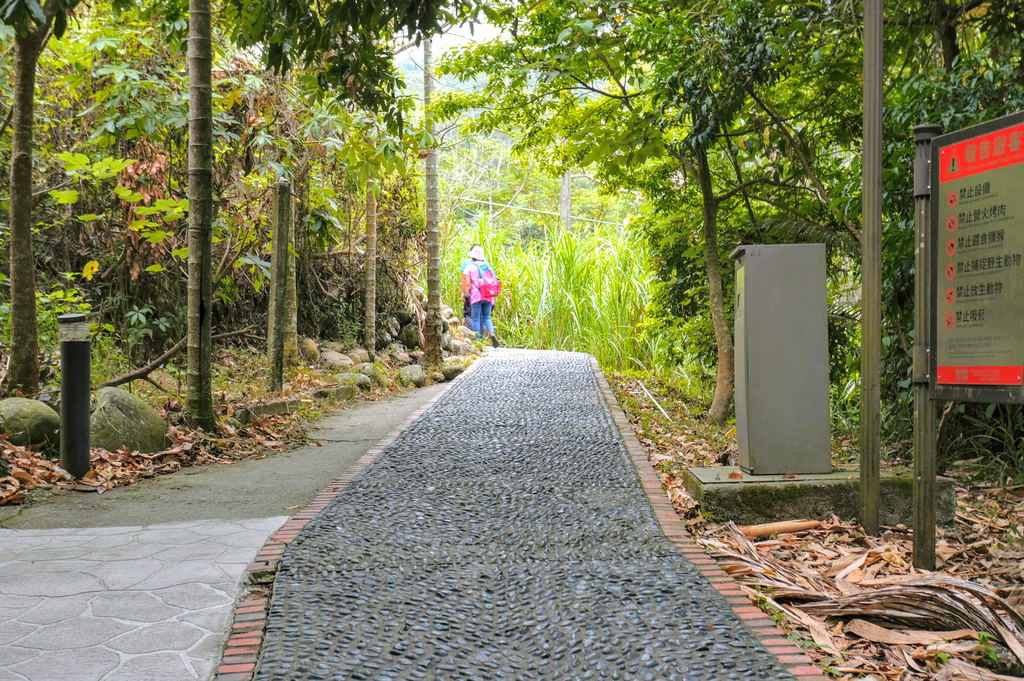 大坑二號步道_DSF7547.jpg