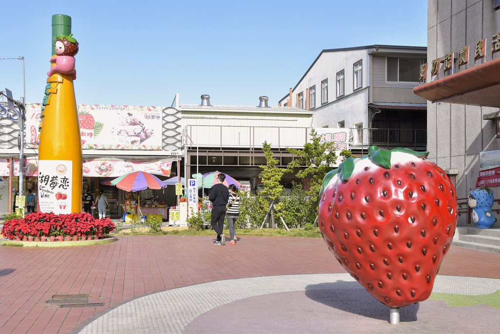 苗栗大湖景點 大湖酒莊 草莓文化館 買草莓周邊商品 品嚐草莓特色料理 小玉兒 趴趴走 痞客邦